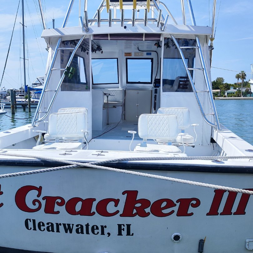 Salt Cracker III (2)